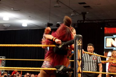Santa Clara - 28 Mart 2015: NXT bayan güreşçi Bayley, WWE Axxess 'in San Jose, Kaliforniya' daki McEnery Kongre Merkezi 'nde oynanan maçta Sasha Banks' i ringin köşesinde kıstırmıştı..