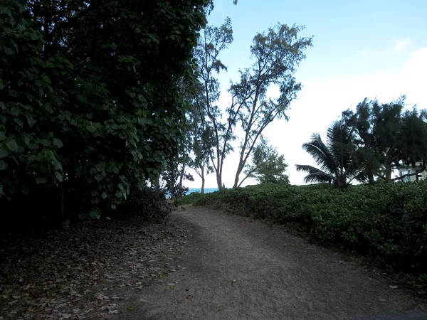 Sandvägen Till Waimanalo Beach Oahu Hawaii — Stockfoto