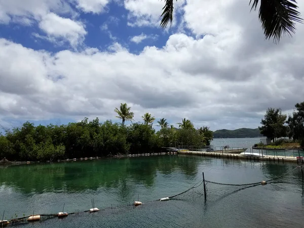 Laguna Rekinów Hawajskim Instytucie Biologii Morskiej Wyspie Kokosowej Moku Oahu — Zdjęcie stockowe