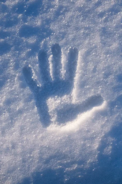 La huella de la palma en la nieve — Foto de Stock