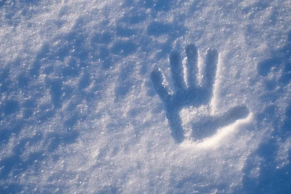 Cetakan telapak tangan di salju — Stok Foto