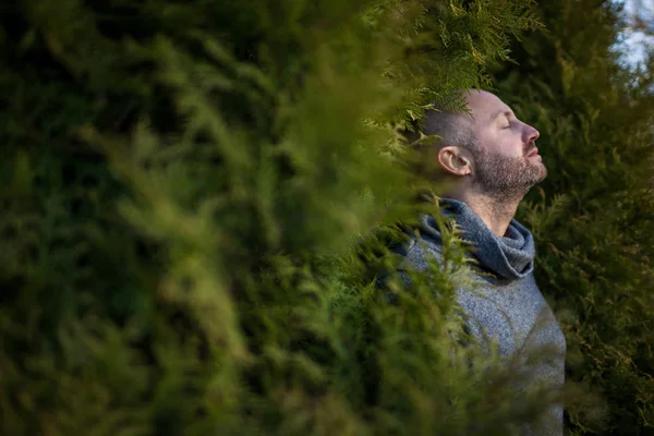 A bald man in a warm sweater is resting, leaning against the trees — Stock Photo, Image