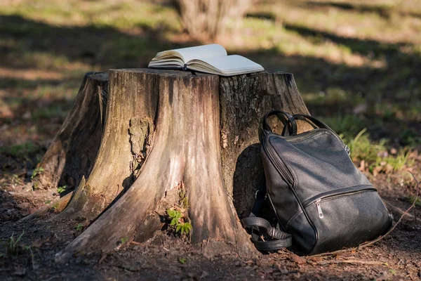 Buku catatan atau buku harian kosong dengan halaman yang terbuka — Stok Foto