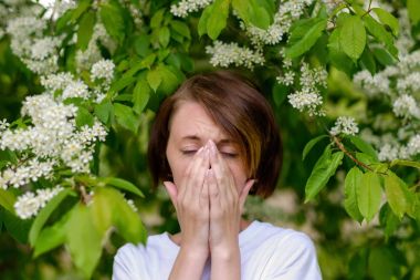 A beautiful girl stands by the blossoming bird cherry and sneeze clipart