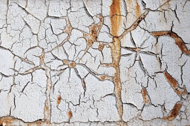 Beyaz duvar içinde çatlaklar, çiçekler gibi