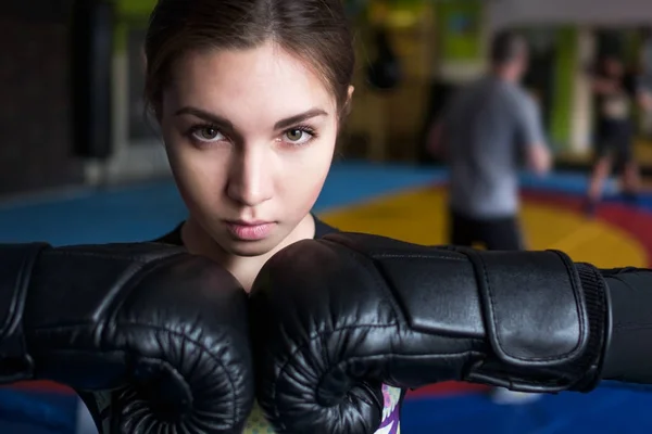Joven adulto sexy boxeo chica posando con guantes . —  Fotos de Stock