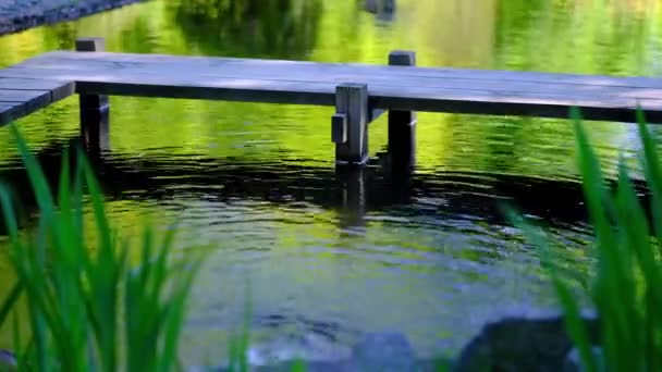 Dettaglio dei flussi d'acqua sullo sfondo del lago — Video Stock