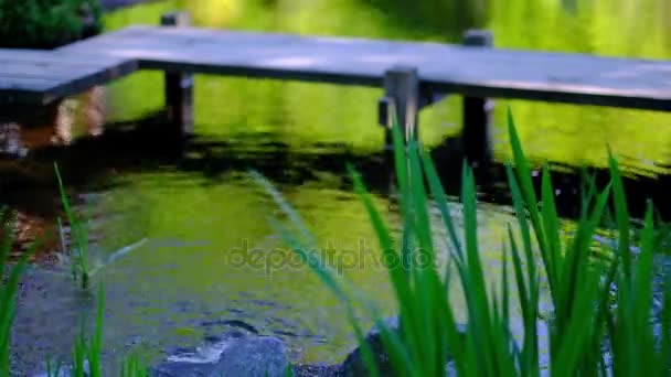 Detalle de los flujos de agua en el fondo del lago — Vídeos de Stock