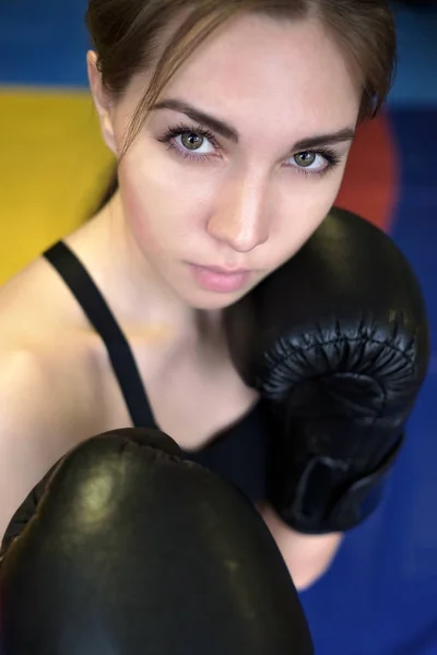 Joven adulto sexy boxeo chica posando con guantes . —  Fotos de Stock