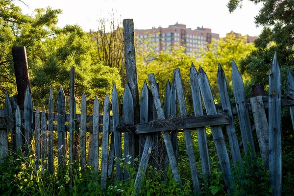 An old wooden fence with grass with green trees — Stock Photo, Image