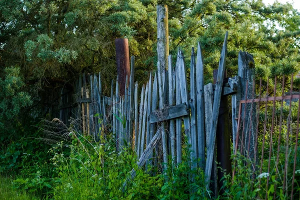 An old wooden fence with grass with green trees — Stock Photo, Image