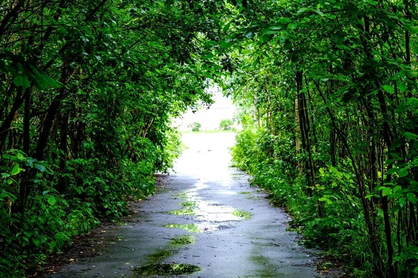 Licht aan het einde van de tunnel — Stockfoto