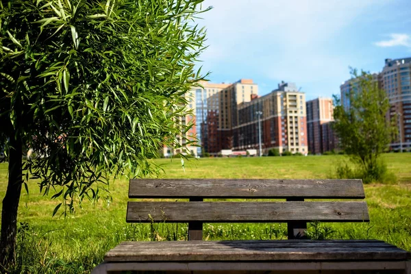 Parkta bir arka plan bulanık ağaçlar ve Binalar eski bir ahşap Bank.