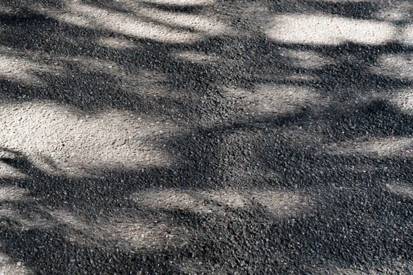 Skuggan av lövträd på soliga trottoaren — Stockfoto