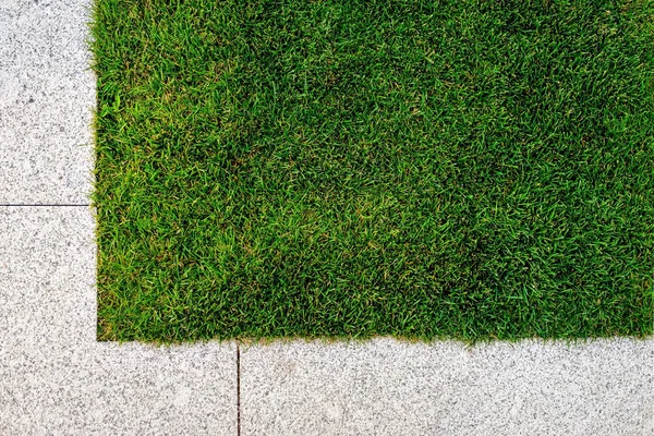 Gräs och sten trottoaren — Stockfoto