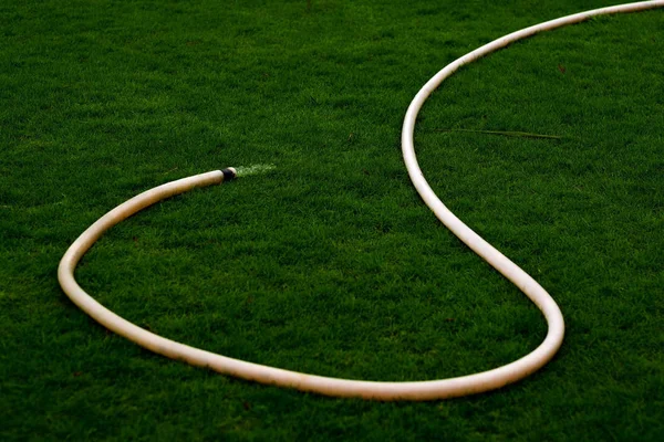 Tuyau pour arroser l'herbe par une journée sèche et ensoleillée. L'eau coule sur la pelouse . — Photo