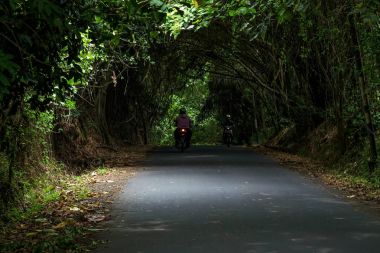 Yol ve ormanı Bali sürüş motorbikers