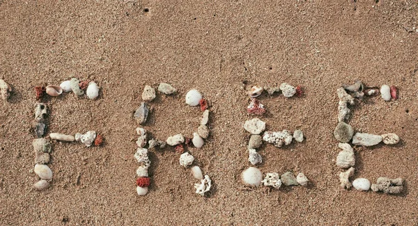 Palabra libre hecha de conchas marinas en la playa de arena —  Fotos de Stock