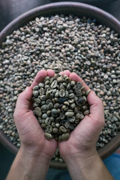 Coffee beans in hand — Stock Photo, Image