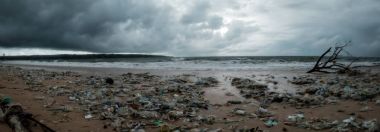 Bali, Endonezya - 19 Aralık 2017: Plajda, çevre kirliliği Bali çöp
