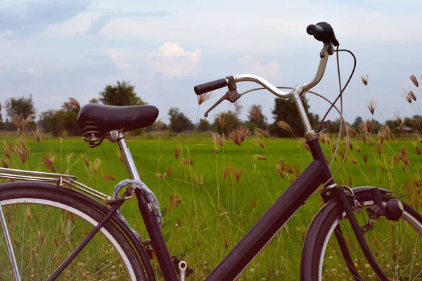 Vintage rowerów na zielony łąka. — Zdjęcie stockowe