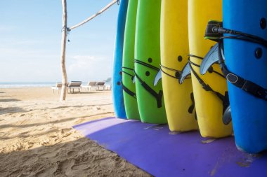 Birkaç uzun panoları için sabah plajda sörf ayakta. Aktif spor tatil sırasında kavramı