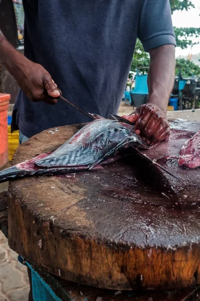 Man cutting fresh tuna with huge knife in Weligama In Sri Lanka.