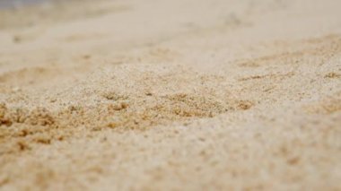 Bir delik yapmak kuma Yengeç