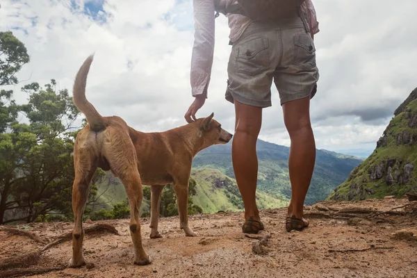 Kaukasische Frau steht mit Hund und blickt vom Berg auf die Landschaft. — Stockfoto