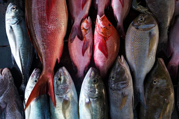 Färsk fisk på marknaden närbild. — Stockfoto