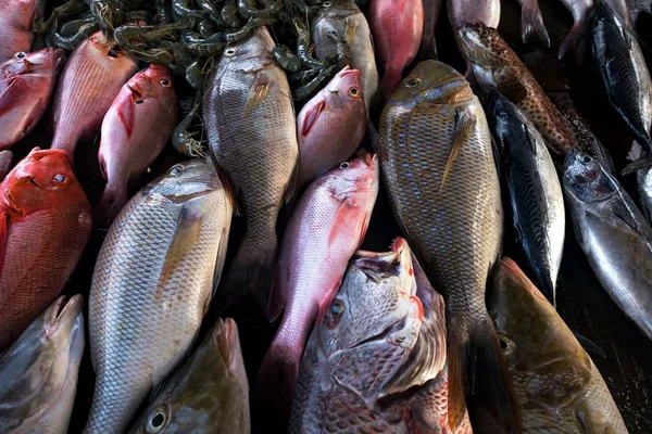 Peixe fresco no mercado fechar . — Fotografia de Stock