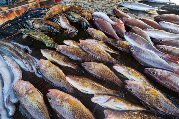 Färsk fisk på marknaden närbild. — Stockfoto