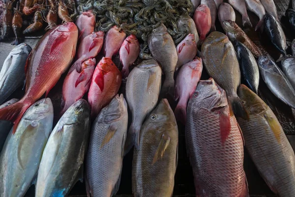 Peixe fresco no mercado fechar . — Fotografia de Stock
