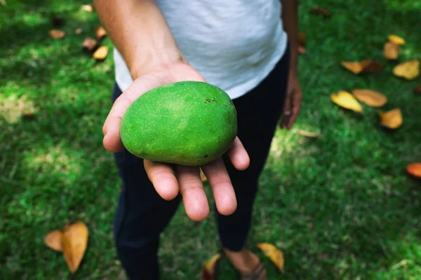 Kaukasiska kvinna som håller mogen mango i hand — Stockfoto