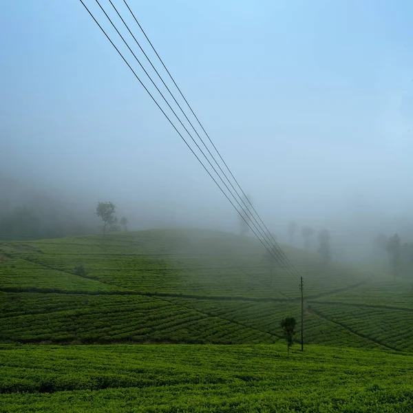 Hermosa vista sobre la plantación de té en Haputale Sri Lnaka . — Foto de Stock