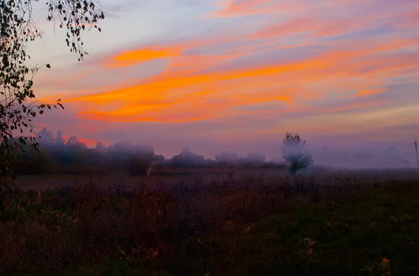 Natureza. Depois do pôr do sol — Fotografia de Stock