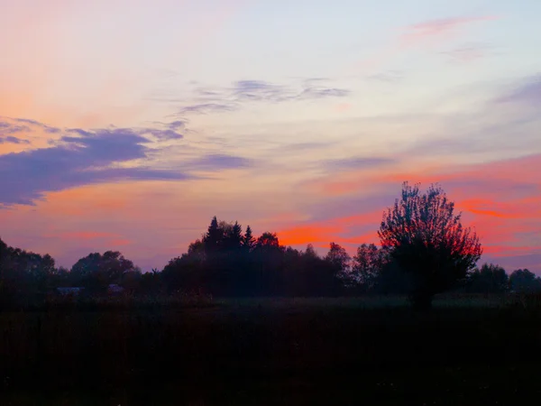 Naturen. Efter solnedgången — Stockfoto
