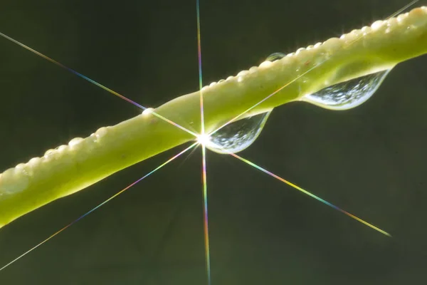 Drop of water and light — Stock Photo, Image