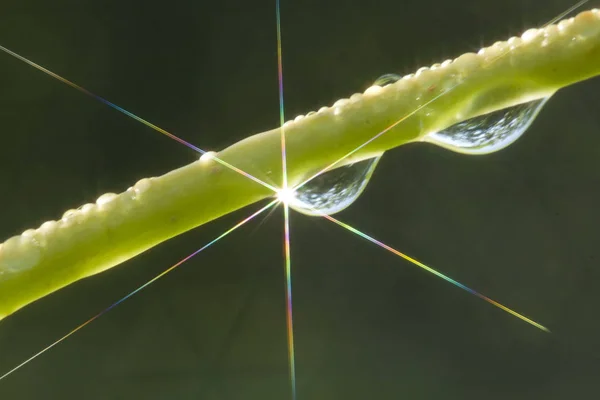 Une goutte d'eau et de lumière — Photo