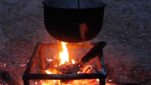 Turistas preparam sua própria comida em chamas — Vídeo de Stock