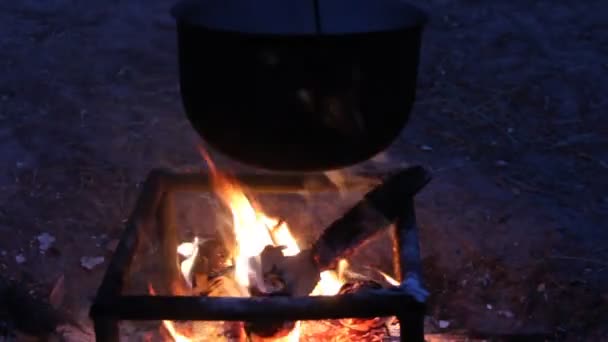 Flames of a bonfire — Stock Video