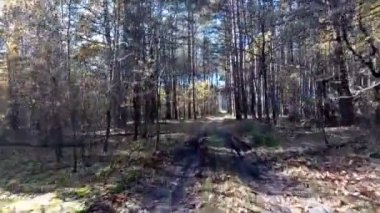 Forest Road