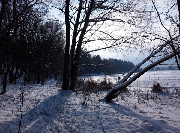 Beauty of winter landscape — Stock Photo, Image