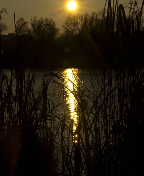 A luz solar refletida a partir de cada onda cria uma imagem chamada sola — Fotografia de Stock