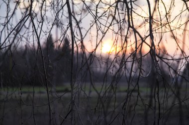 Doğanın elementlerinden oluşan güzel ve alışılmadık bir arka plan.