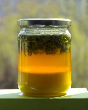 Alternatif ilaç olarak ballı Aloe.