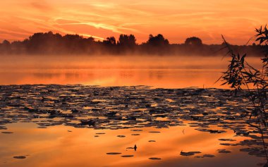 Yaz aylarında sabah nehirde