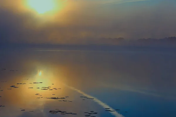 Утренняя река летом — стоковое фото