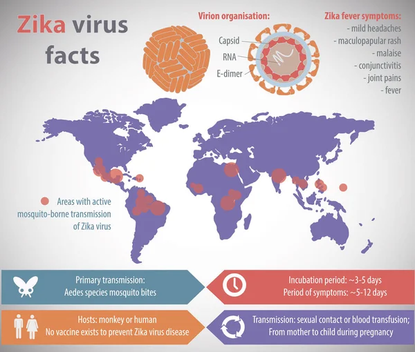 Zika wirus infographic — Wektor stockowy