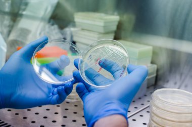 CAR terapisi için bakteri yetiştirmek lösemi, lenfoma terapisi için yeni bir yöntem ve aynı zamanda çovid-19 tratment için de test edilebilir.